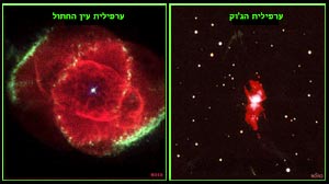 ערפילית הג'וק וערפילית עין החתול